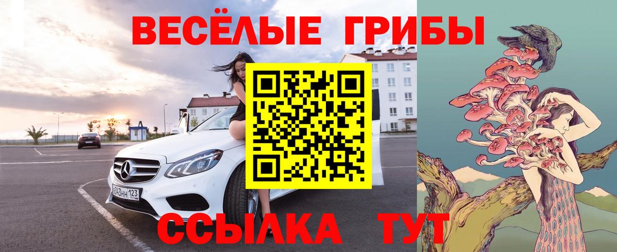 Псилоцибиновые грибы ЛСД Мичуринск